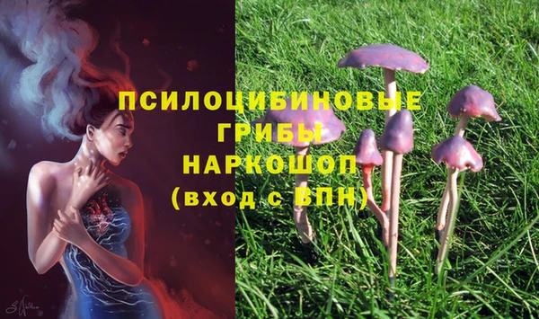 винт Зеленокумск